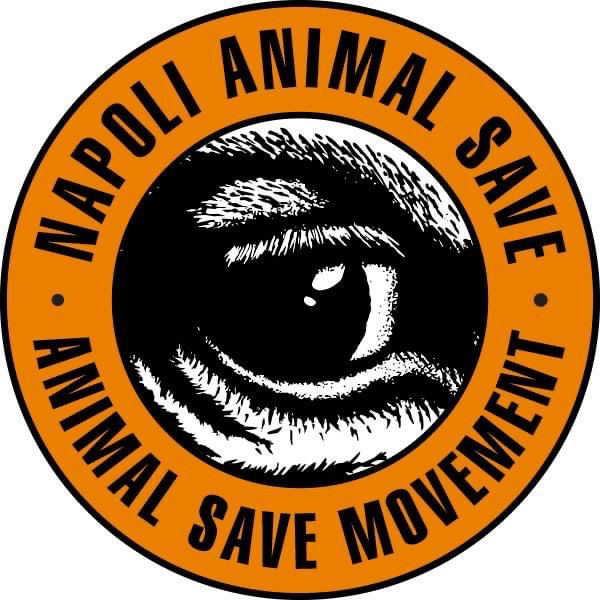 Napoli Animal Save
